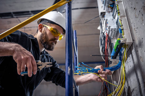 Best Electrical System Inspection  in Muscatine, IA